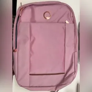 NWT Delsey Paris Ramey Backpack Pink Delsey Paris Ramey Backpack Color Pink Size 14 main image 2